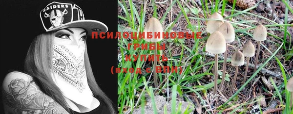 мдпв Абаза
