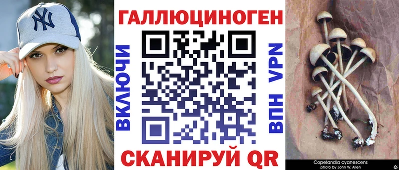 Галлюциногенные грибы мицелий  Грайворон 